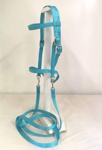 Turquoise Saddle Pad Set H5287