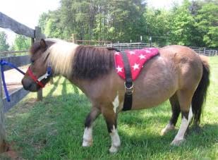 Turquoise Saddle Pad Set H5287
