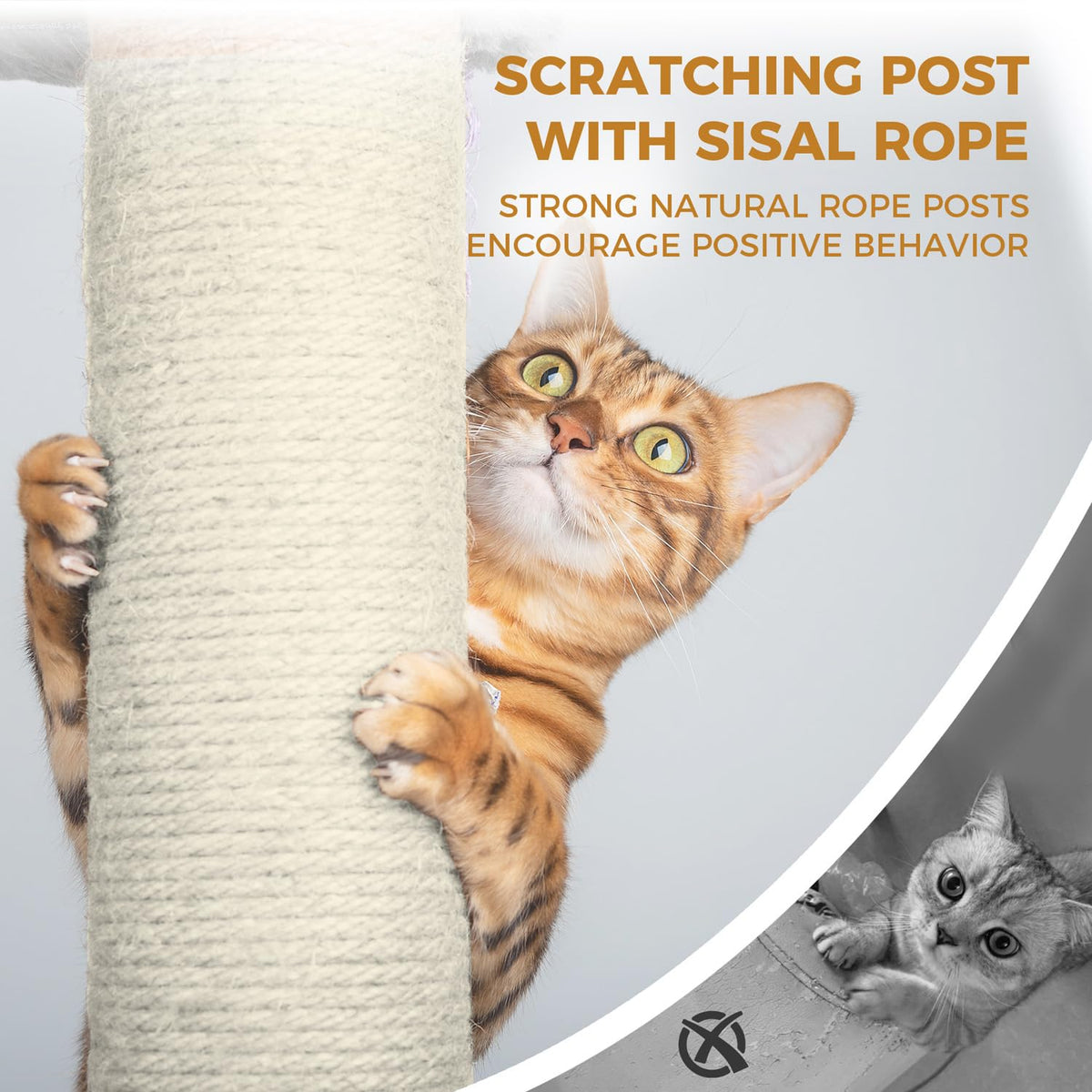 68 Inches Tall Multi-Level Cat Tree with Hammock and Light Gray C421608