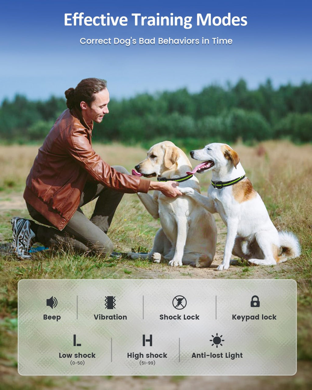 Dog Training Collar B485
