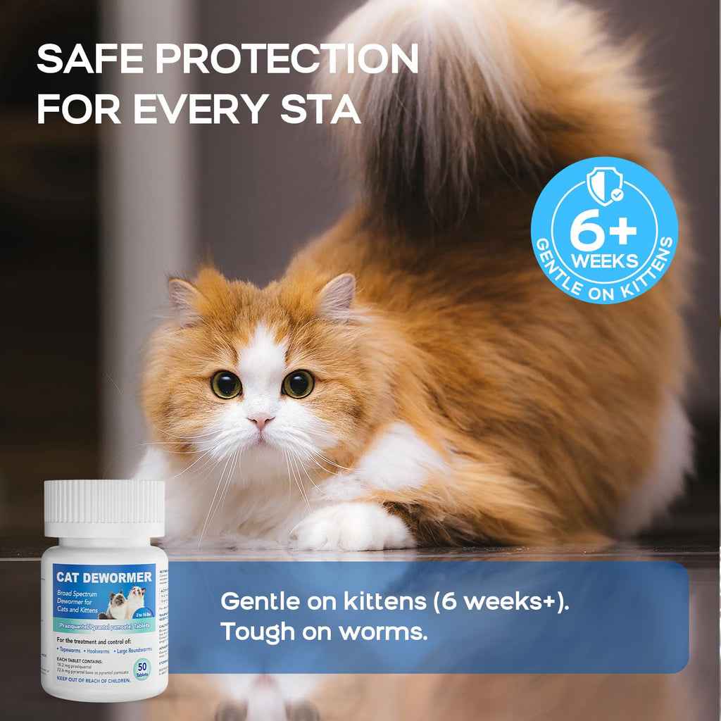 Cat Dewormer All Worms Broad Spectrum K5193