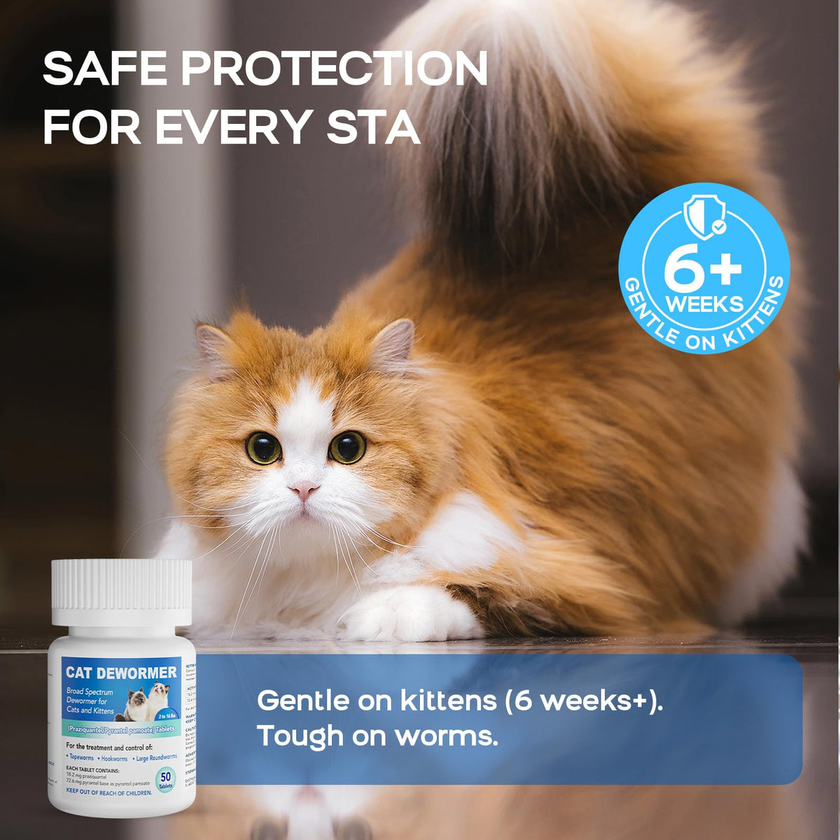 Cat Dewormer All Worms Broad Spectrum K5193