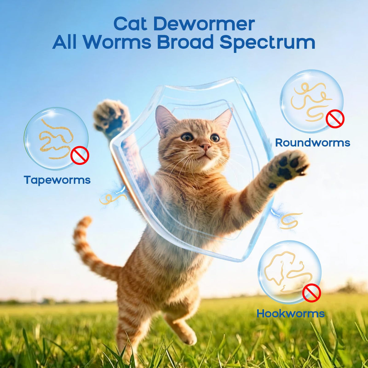 Cat Dewormer All Worms Broad Spectrum K5193