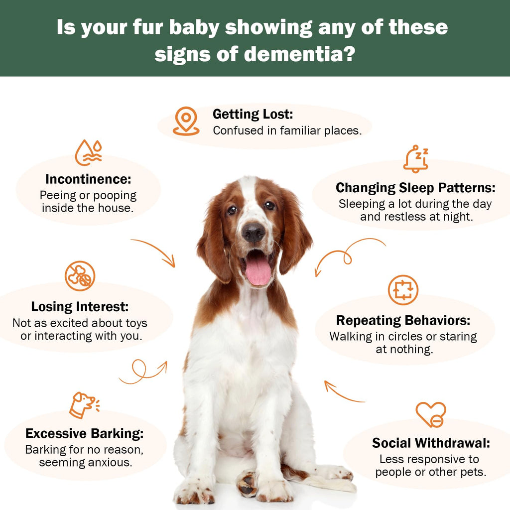 Dog Supplements A71653