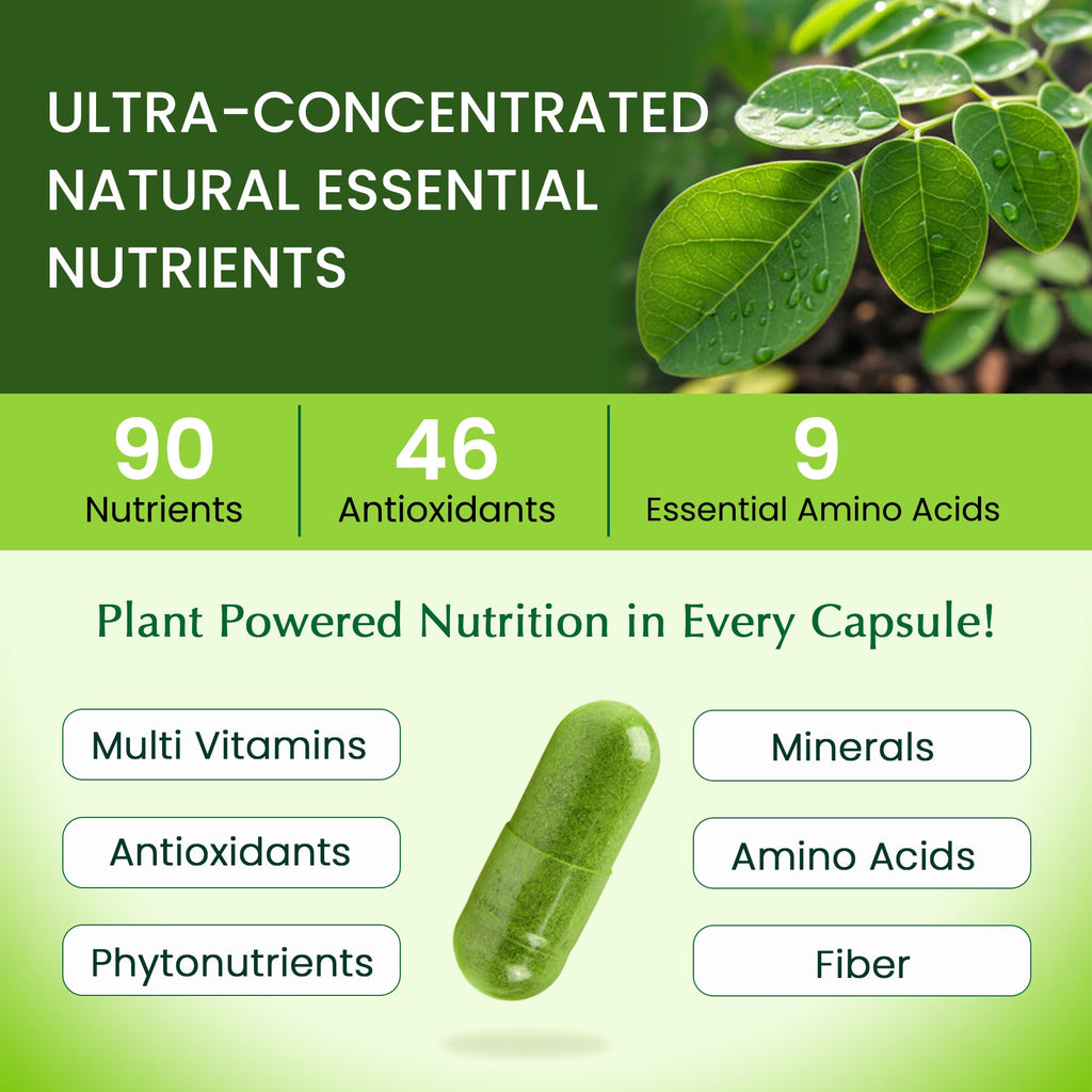1000mg Organic Moringa Capsule 120 Vegan Capsule C6315