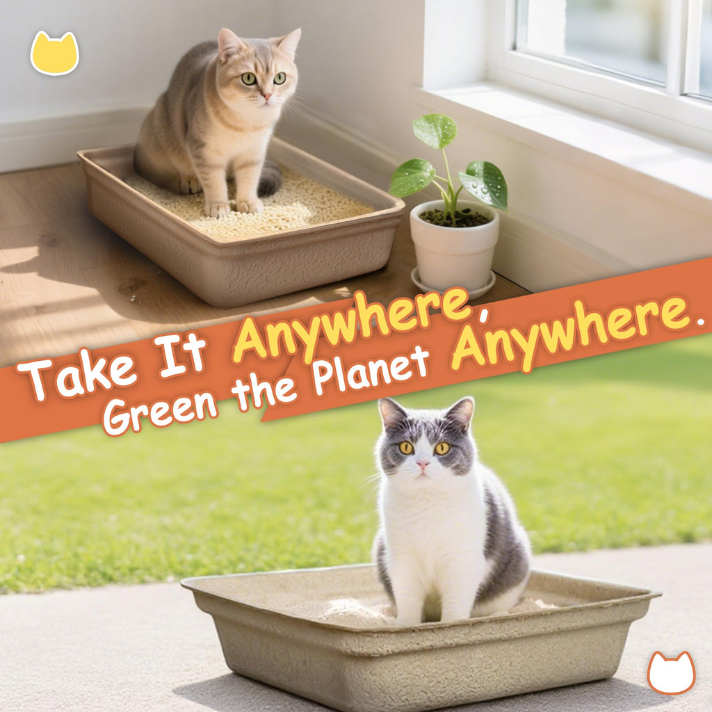 Disposable Litter Boxes for Cats L864026