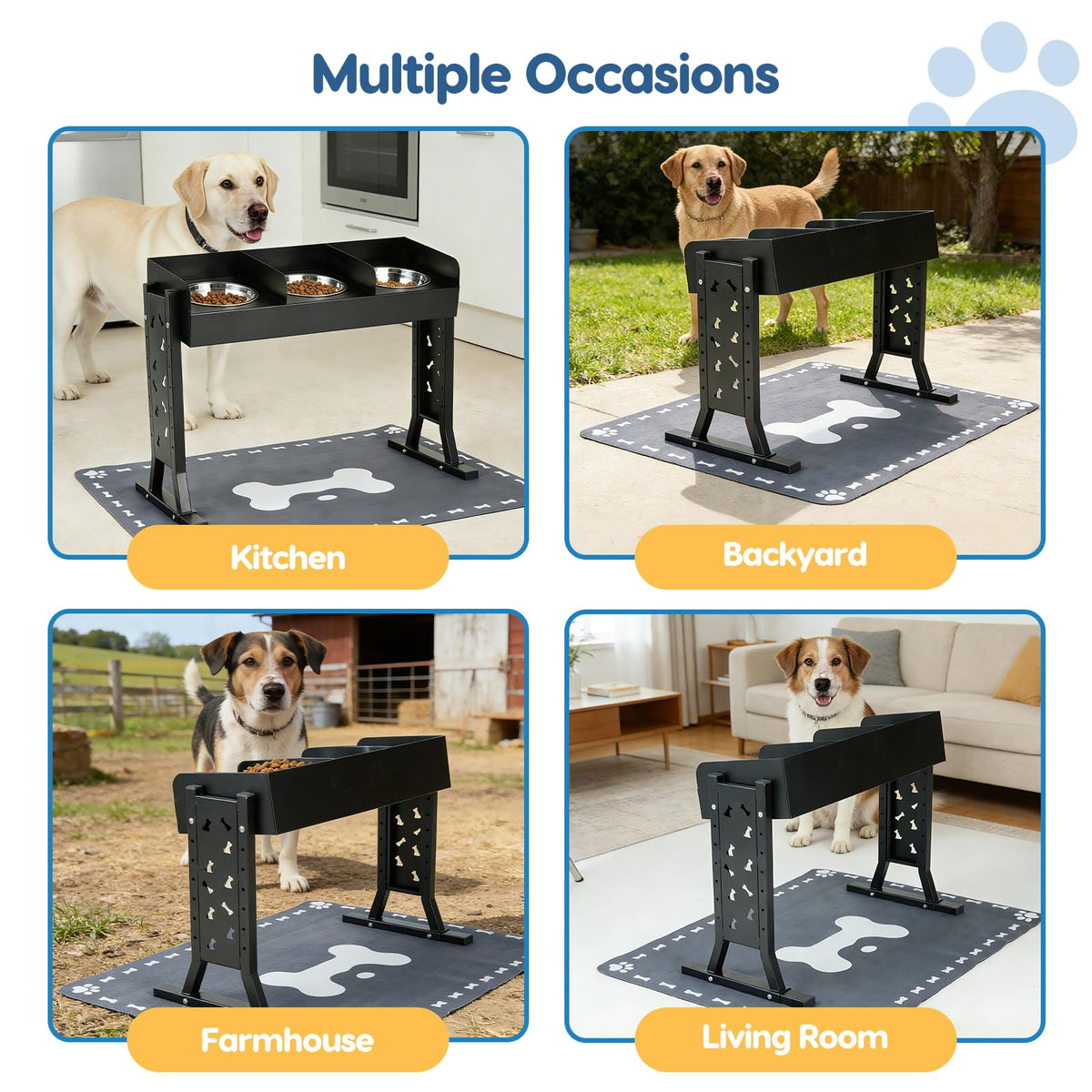 Elevated Dog Bowls with 3 Stainless Steel Bowls N633720
