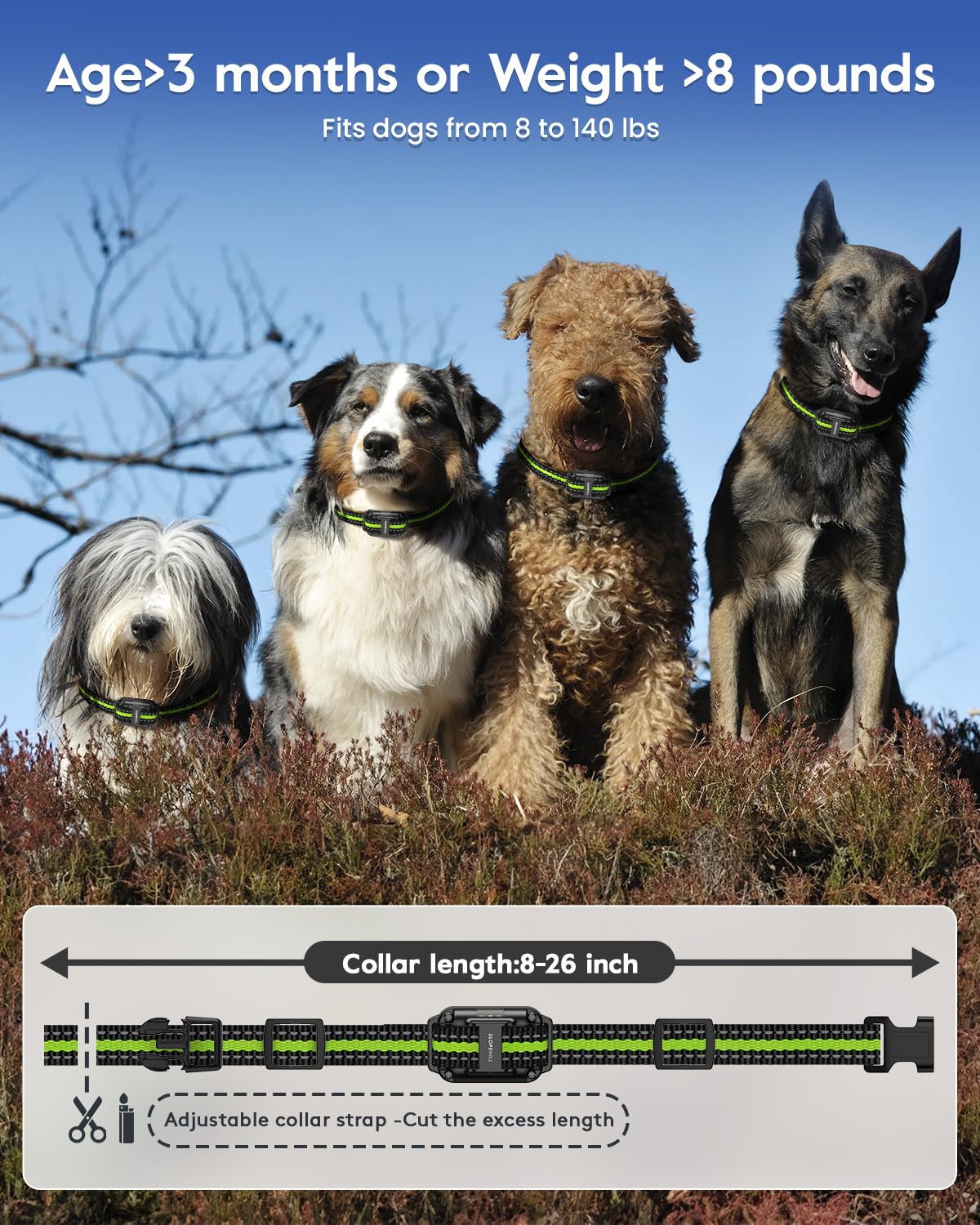 Dog Training Collar B485