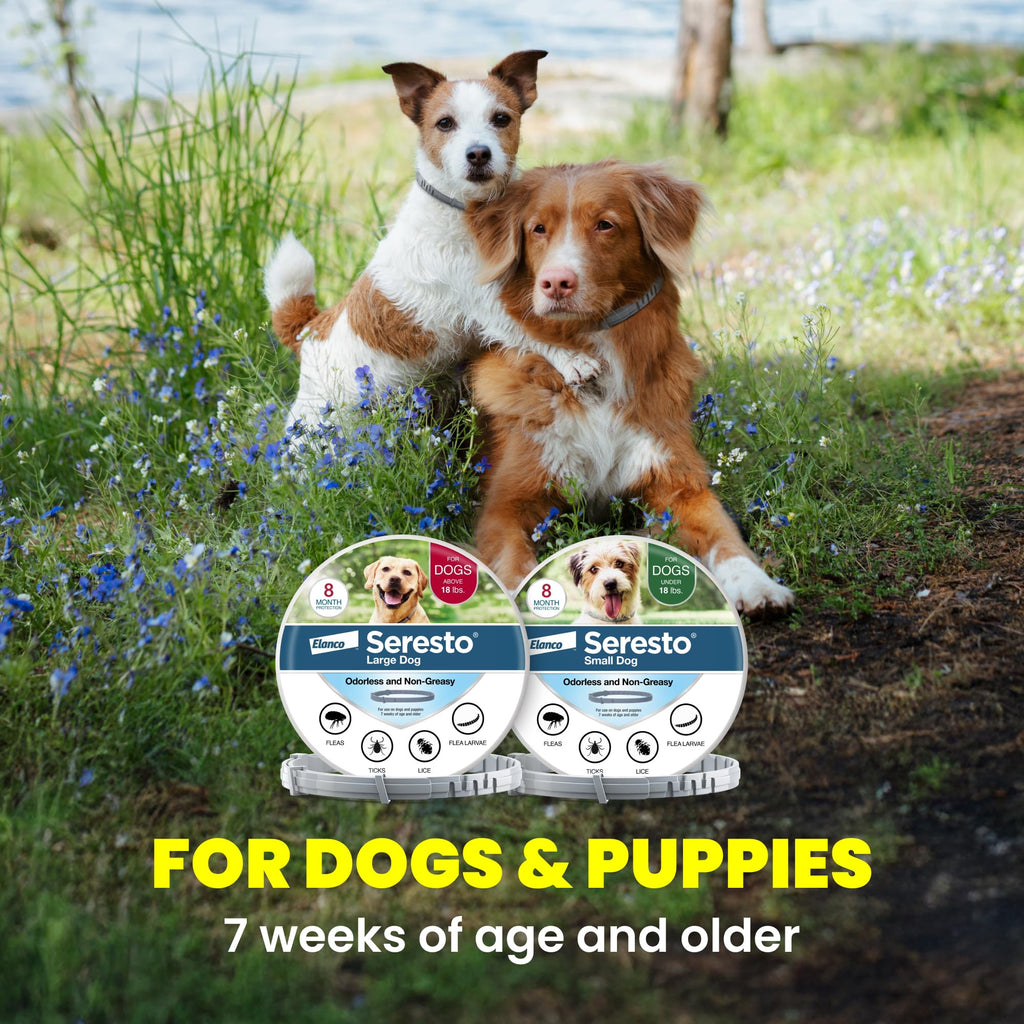 8-Month Flea & Tick Collar for Large Dogs Over 18 lbs O51603