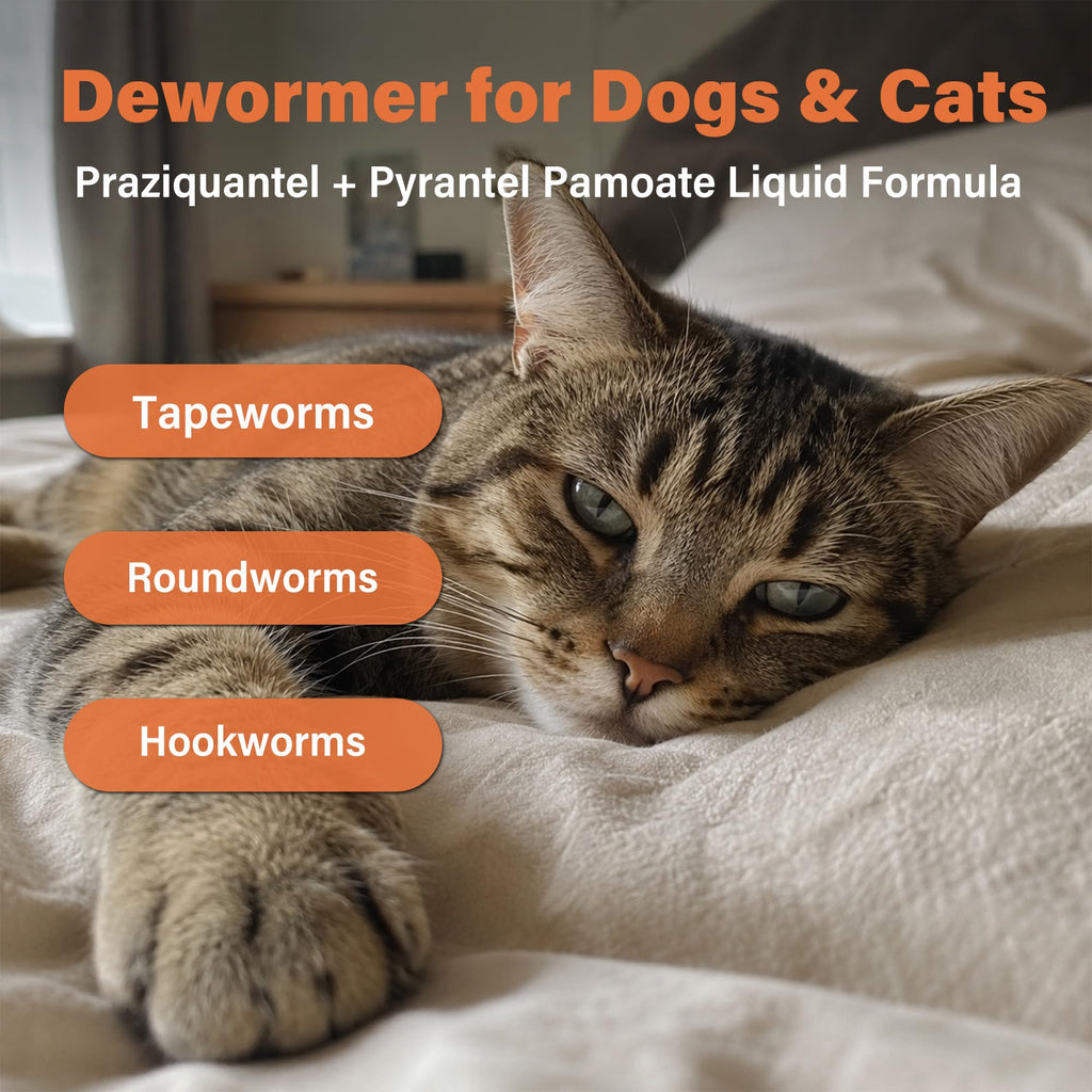 Dewormer for Dogs and Cats 3.38 fl oz L56452