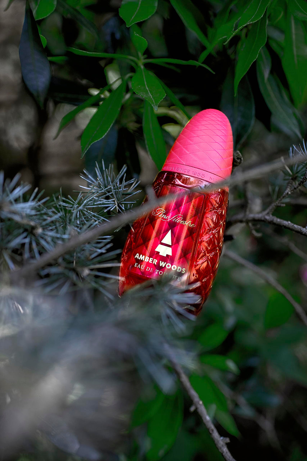 Aromatic Woody Spicy 4.2 oz EDT Spray P5590