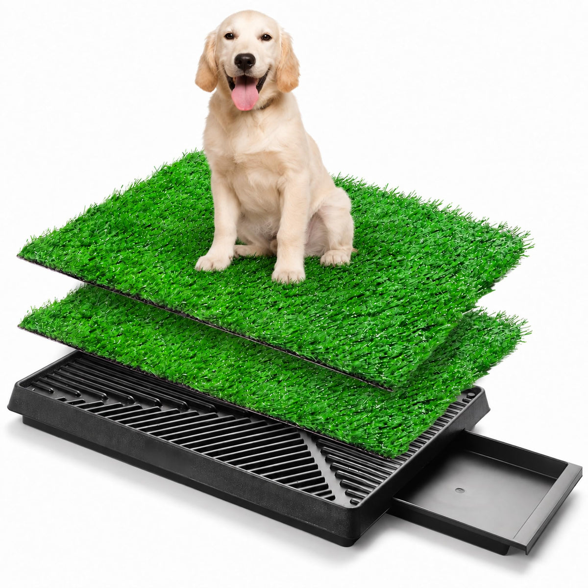 Dog Potty Grass Pads, 2 Pack, 25 x 20 in Turf X7990