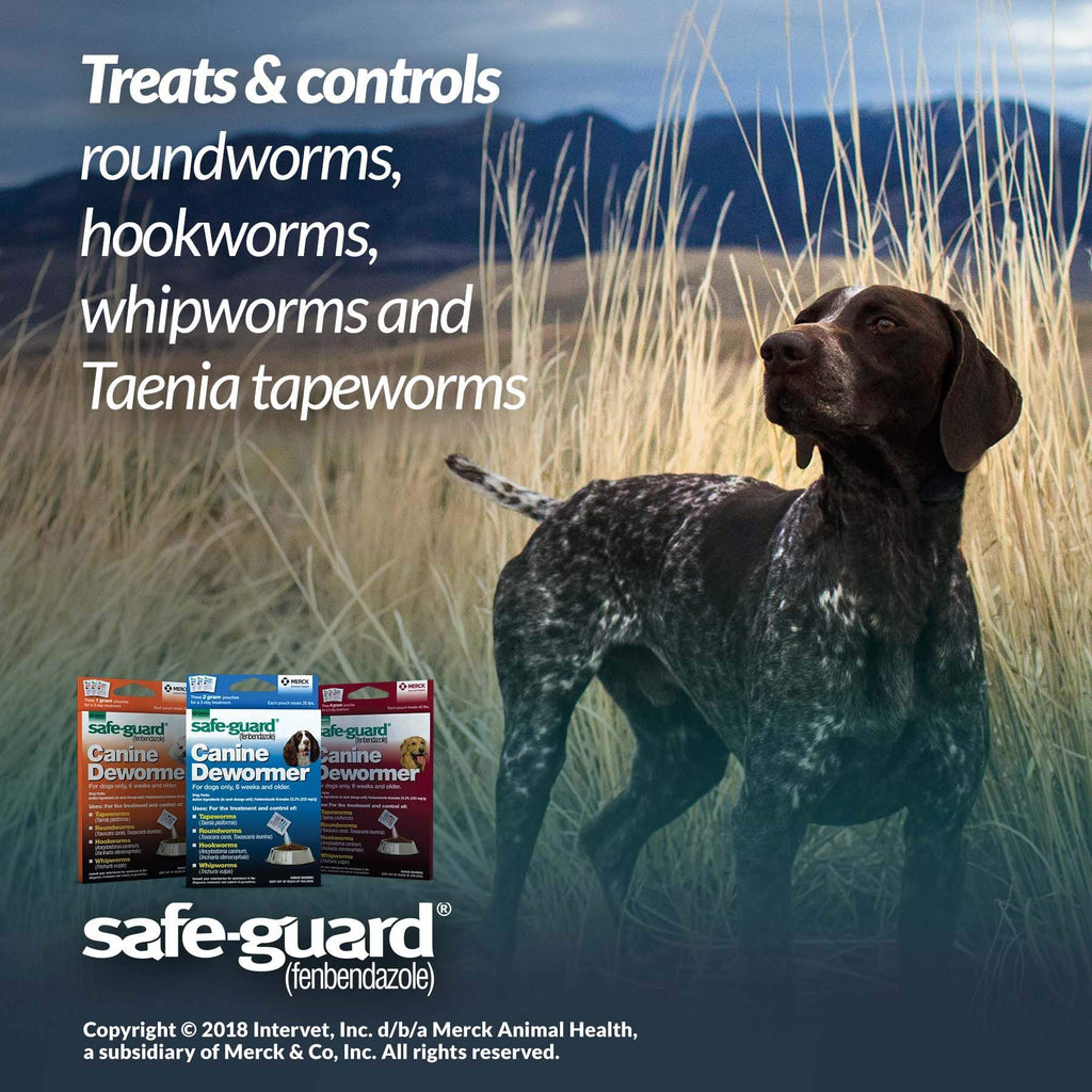 Canine Dewormer 4gm pouch T735950