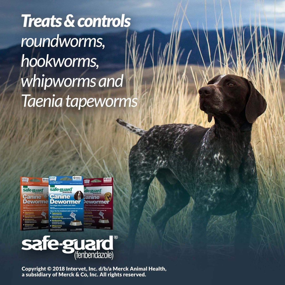 Canine Dewormer 4gm pouch T735950