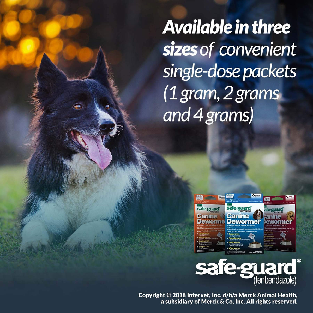 Canine Dewormer 4gm pouch T735950