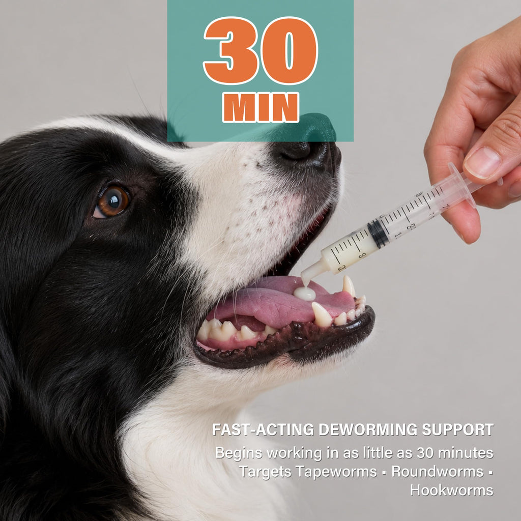 Dewormer for Dogs and Cats 3.38 fl oz L56452