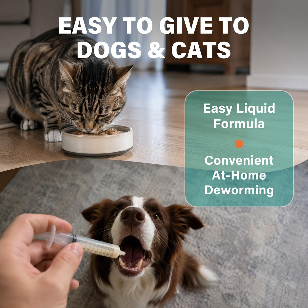 Dewormer for Dogs and Cats 3.38 fl oz L56452