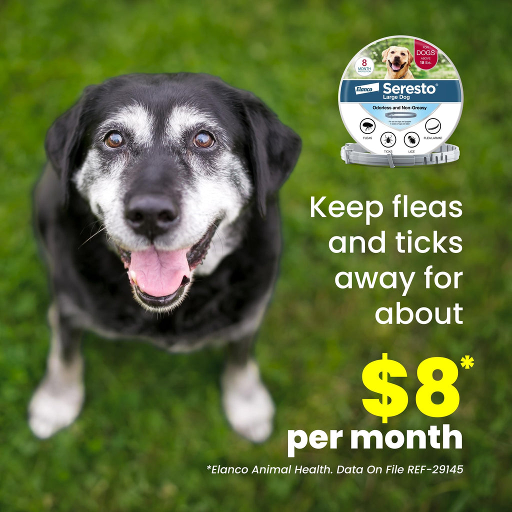 8-Month Flea & Tick Collar for Large Dogs Over 18 lbs O51603
