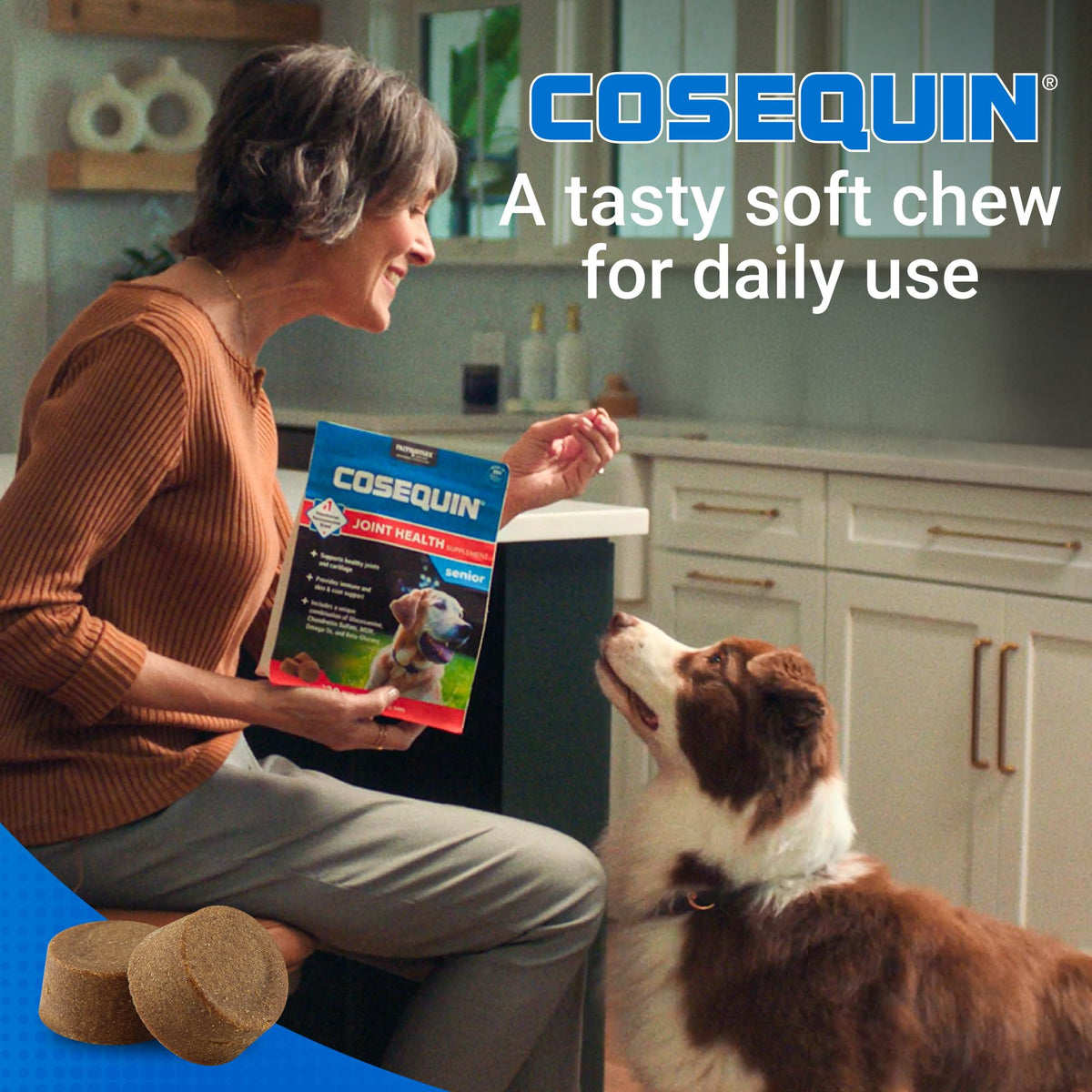 Soft Chews Dog Joint Supplement 60ct O209