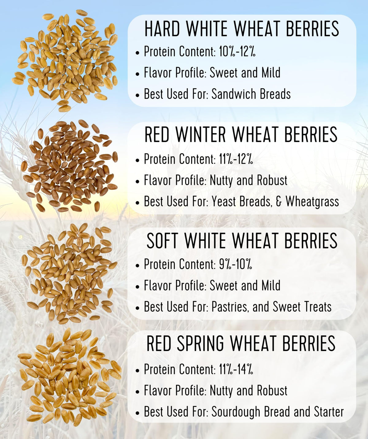 Soft White Wheat Berries 25 LBS Bulk Sproutable Non-GMO Kosher X30135