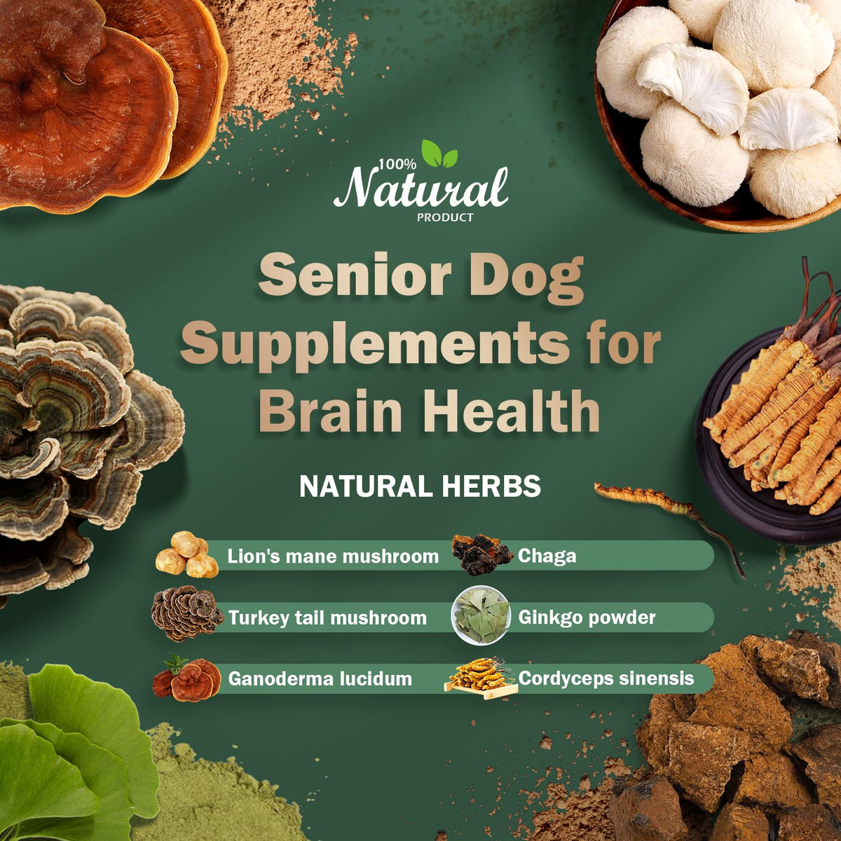 Dog Supplements A71653