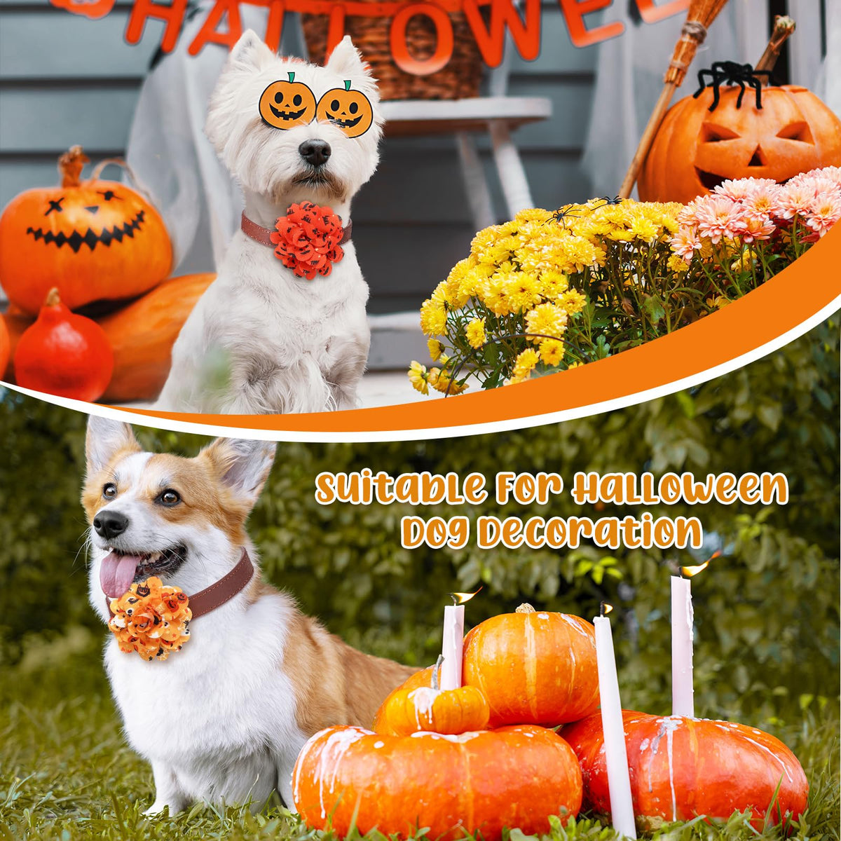 80 Pcs Halloween Dog Collar Flowers Bulk F467