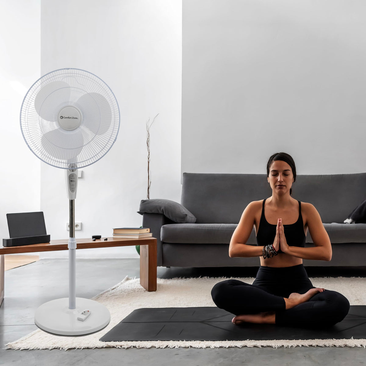 18-Inch Oscillating Pedestal Fan with Remote Control V752