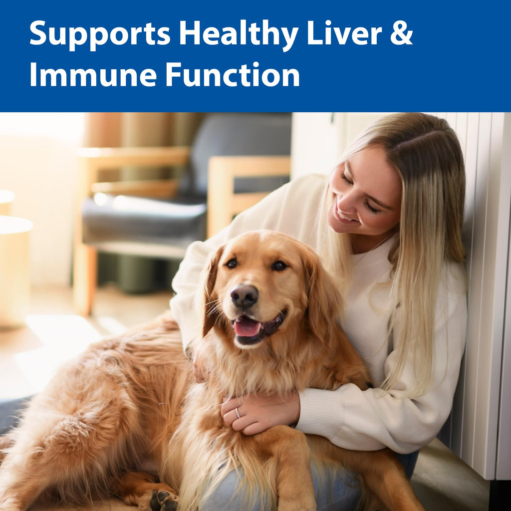 100 mg Chewable Tablets Liver Support Supplement E607
