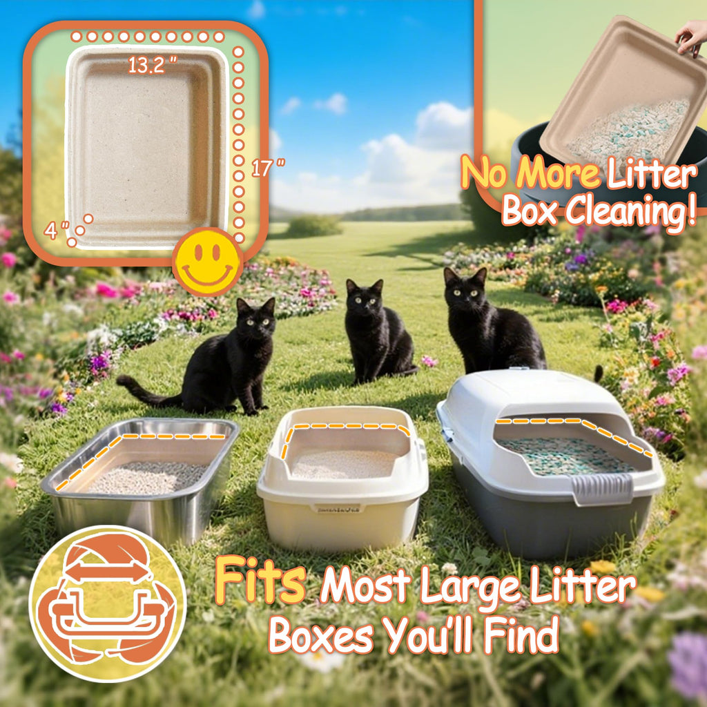 Disposable Litter Boxes for Cats L864026
