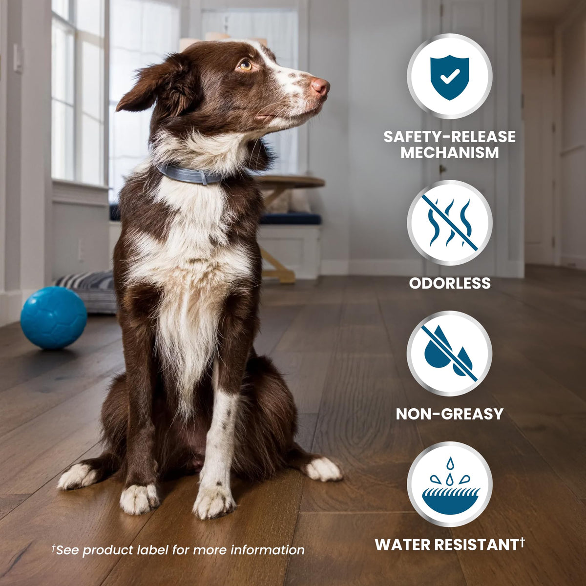 8-Month Flea & Tick Collar for Large Dogs Over 18 lbs O51603
