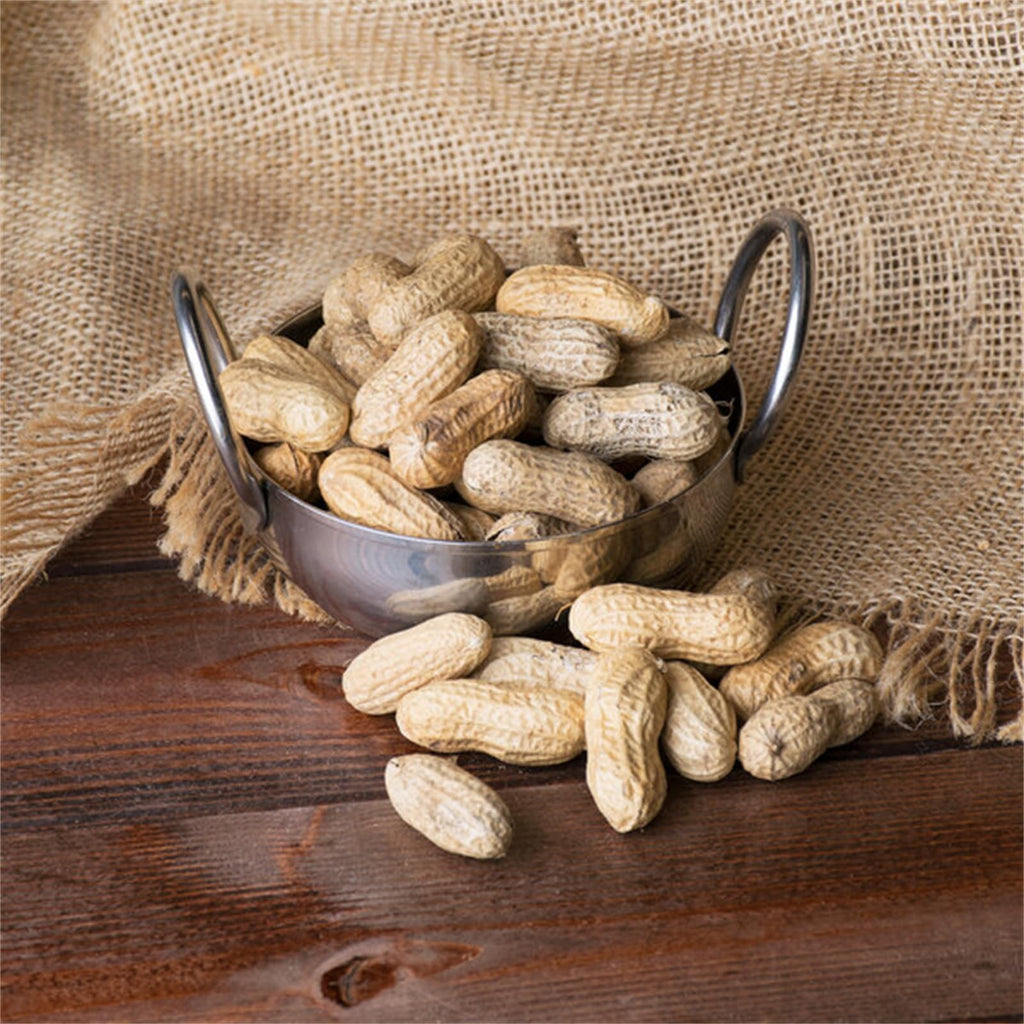 Roasted Unsalted in-Shell Peanuts 25 lb M4664