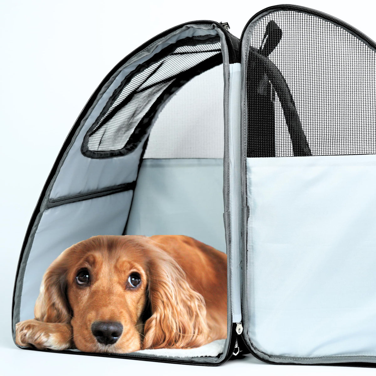 Pet Backpack Carrier for Dogs, Cats and Small Pets H8144